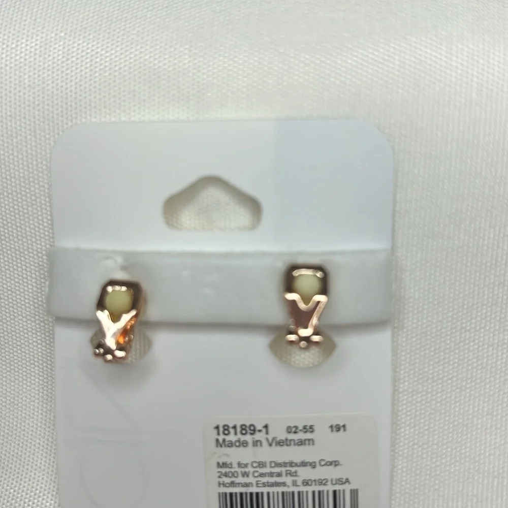 Icing Owl Clip on Earrings